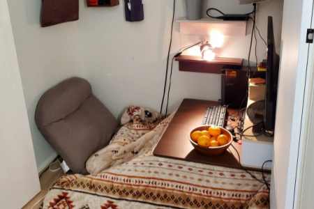 爸爸的游戏秘密基地被征收！变身“父女3人网咖”