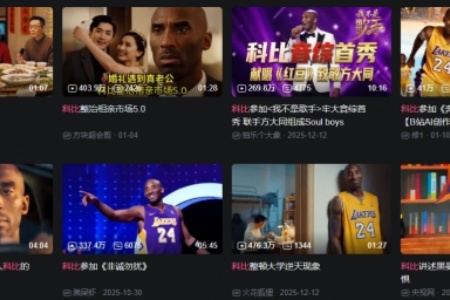 《科比：影逝二度》：赛博牢大的二次坠机