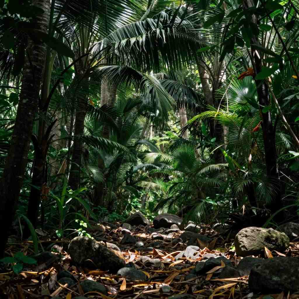 荒岛求生多项修改器 v0.36十二项版